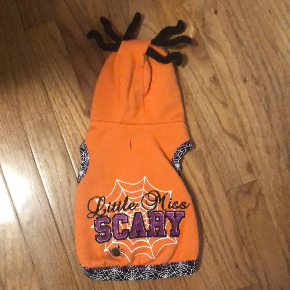 New Dog Spider Sweatshirt Halloween Costume